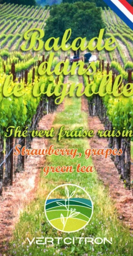 Balade dans le Vignoble