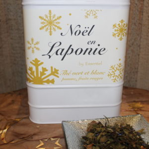 Noël en Laponie