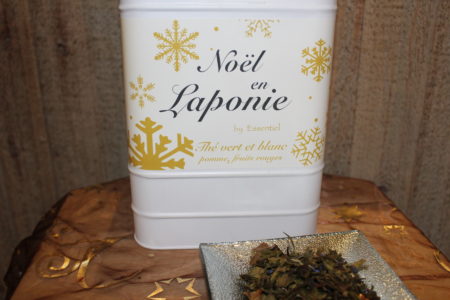 Noël en Laponie