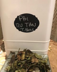 Pai Mu Tan