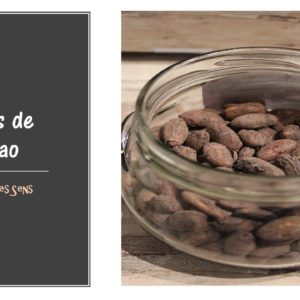 fèves cacao